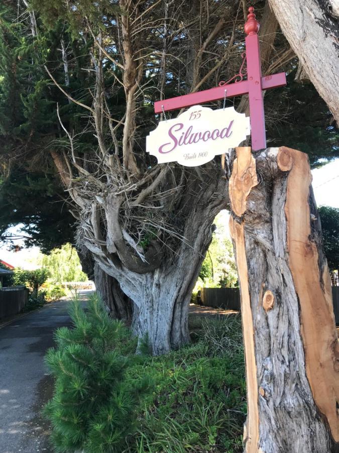 Silwood Apartment Fully Self Contained With Kitchen And Laundry Devonport Extérieur photo